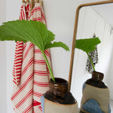 Håndklæder - Orange 45x65